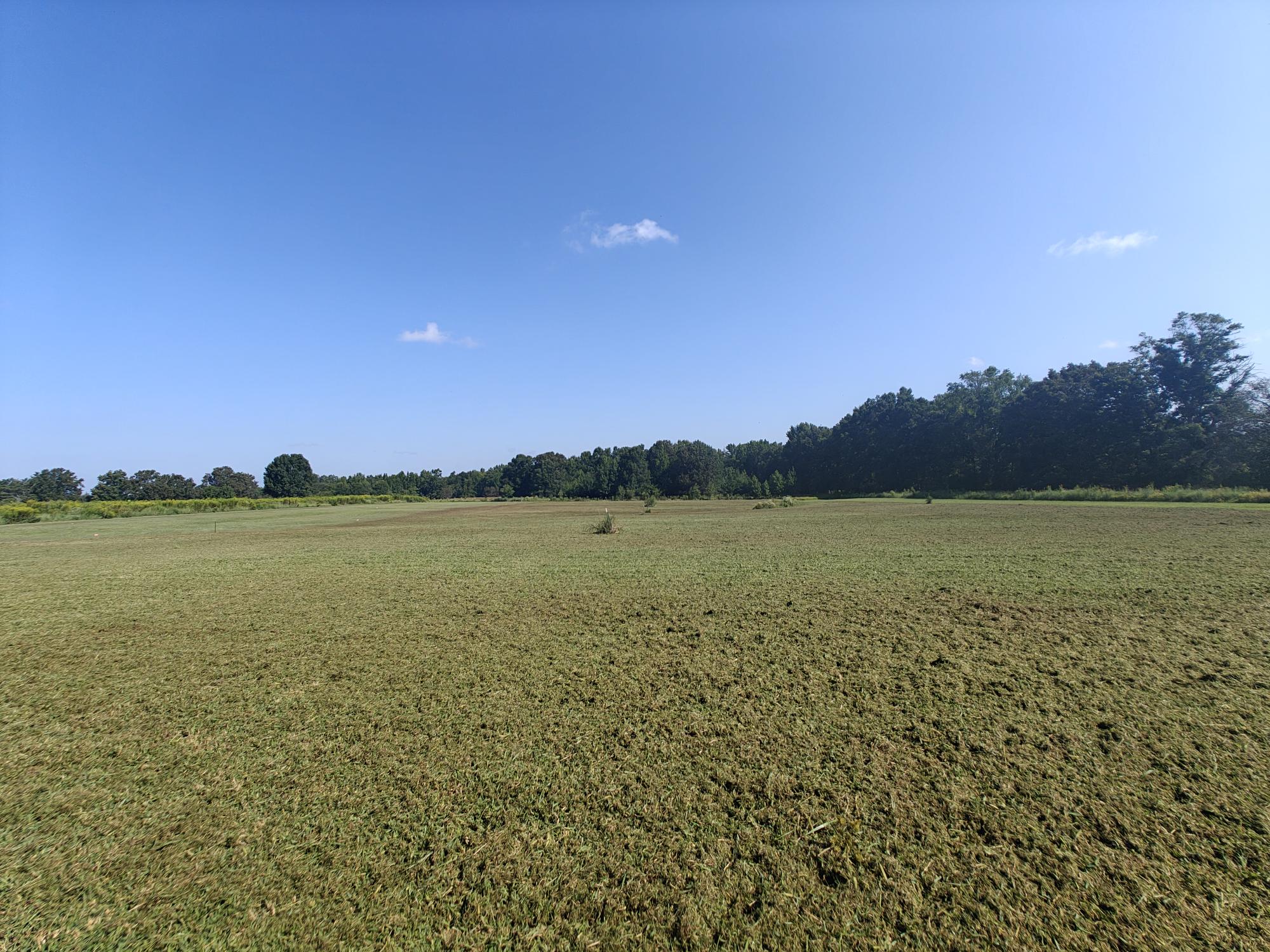 About Midway back, almost center between lot 16 and 17 looking to the back