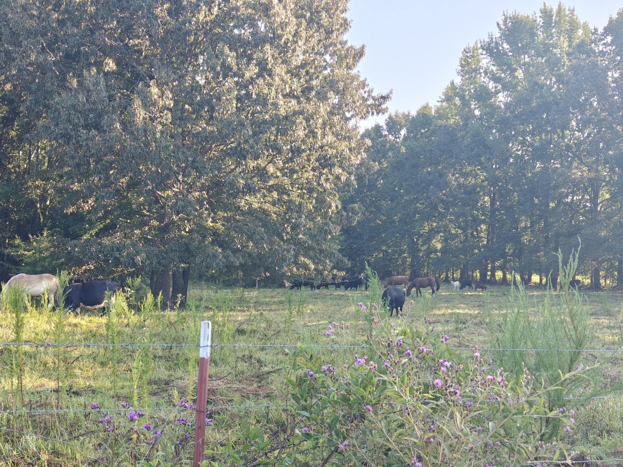 Back of both lot 16 and 17