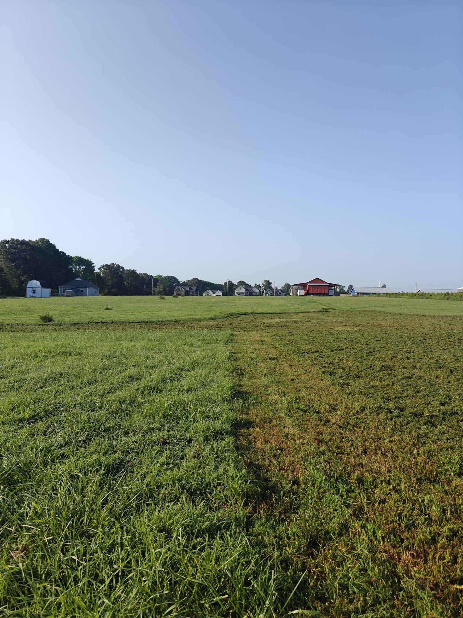 Towards the back of lot 16 looking toward the front
